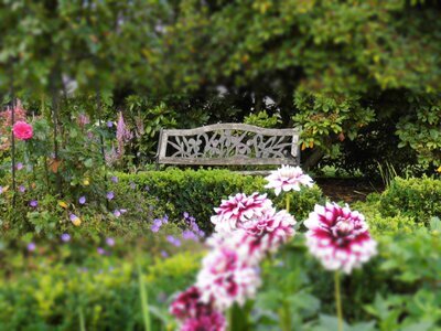 Staudenparadies an der Garbecker Straße - Anja Habbel Staudenparadies an der Garbecker Straße