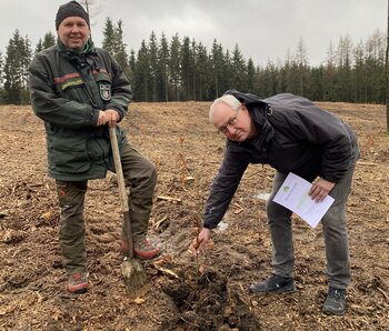 Im Bürgerwald sind die ersten 4.000 Bäume gepflanzt worden.