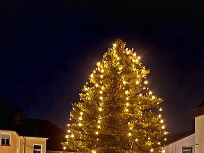 Weihnachtsbaum auf dem BM-Schmerbeck - Platz