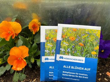 An der Bürgerrezeption im Rathaus liegen die Blumensamen kostenlos aus.