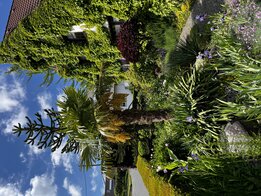 Wildgarten