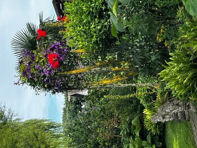 Wildgarten an der Bergstraße - Roger Schriever Wildgarten an der Bergstraße